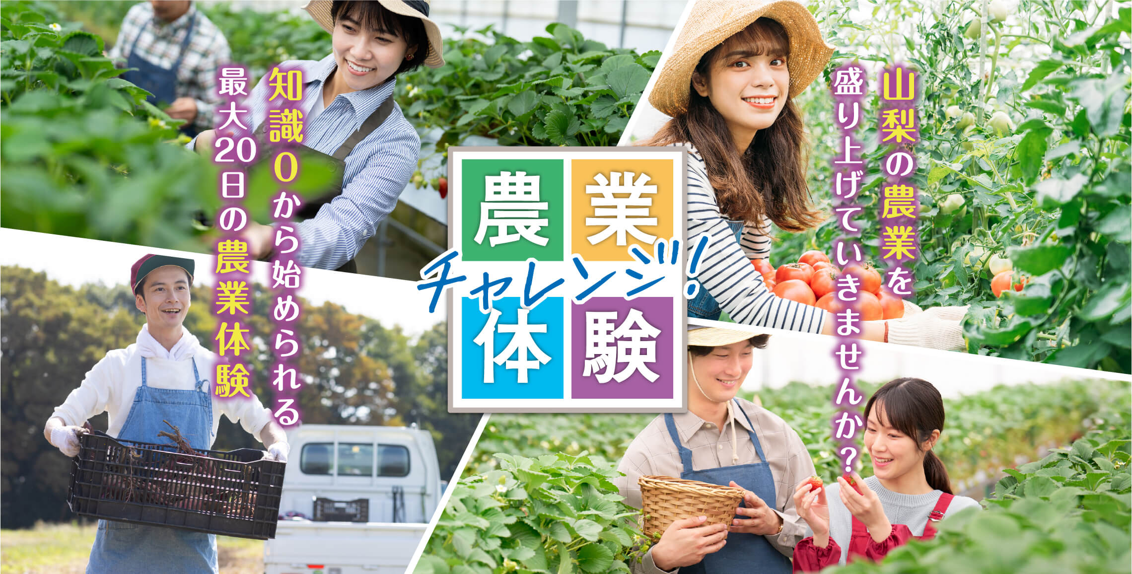 チャレンジ農業体験
