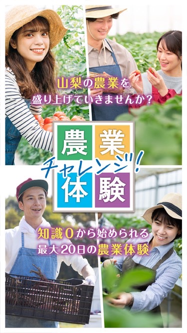 チャレンジ農業体験