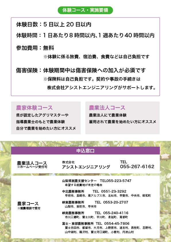 フライヤーの画像